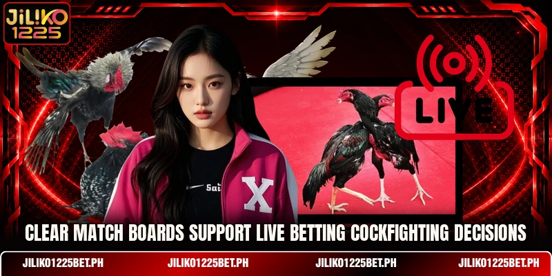Clear match boards support Live betting cockfighting decisions Clear match boards support Live betting cockfighting decisions