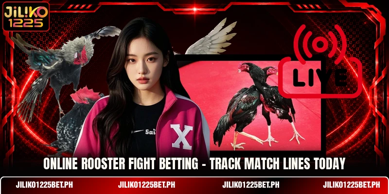 Online Rooster Fight Betting - Track Match Lines Today