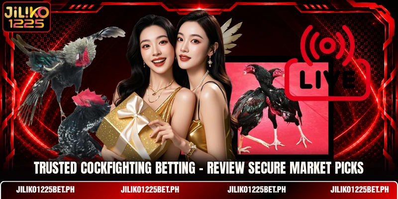 Trusted Cockfighting Betting - Review Secure Market Picks
